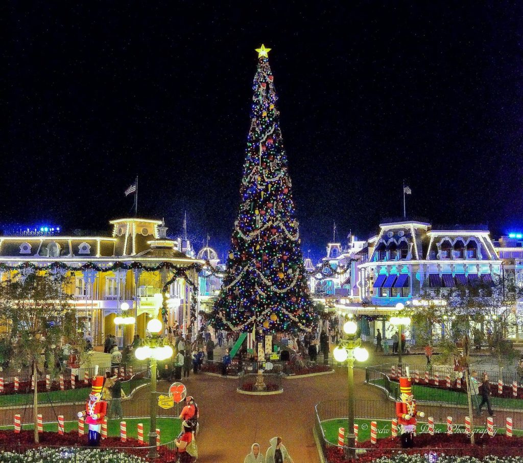 Christmas tree at magic kingdom