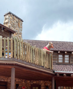 Country Bears Greeting Guests and Magic Kingdsom's Reopening