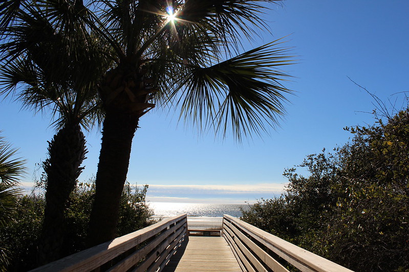 Disney DVC Hilton Head Island Resort Beach Walkway