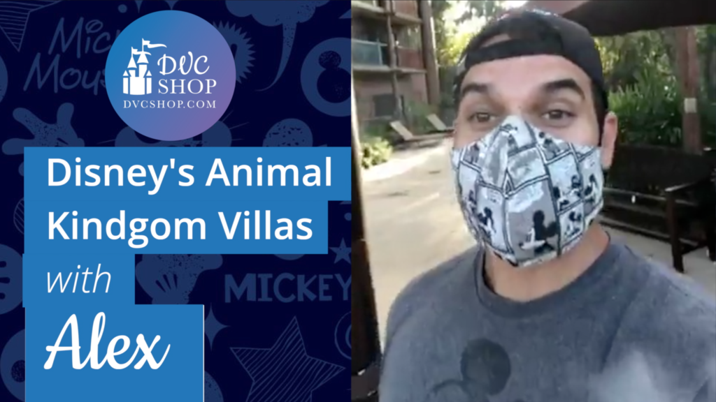 Disney's Animal Kingdom Savannah View & Jambo House Pool Tour