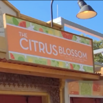 The Citrus Blossom