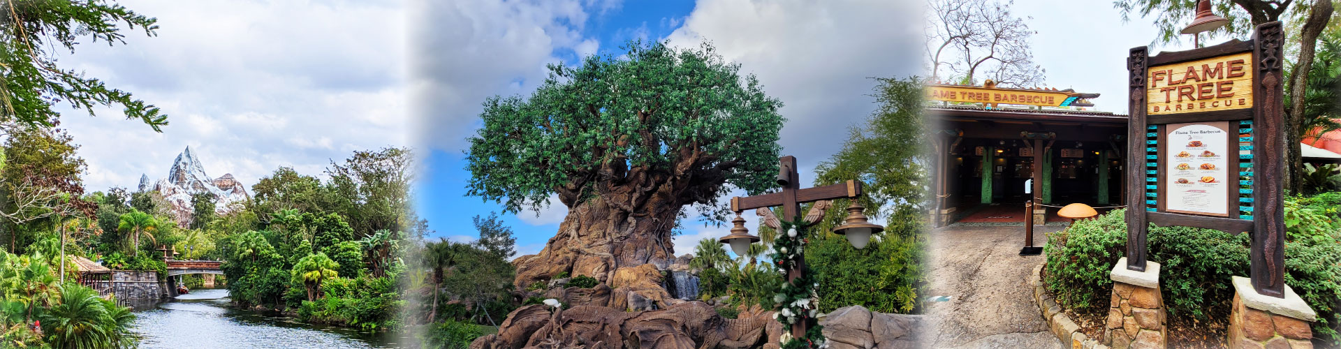 DINOSAUR Overview  Disney's Animal Kingdom Attractions - DVC Shop