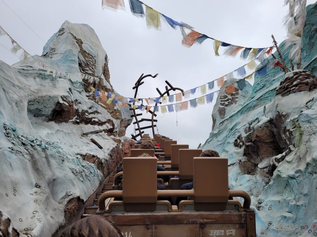 Expedition Everest Track, Disney's Animal Kingdom 