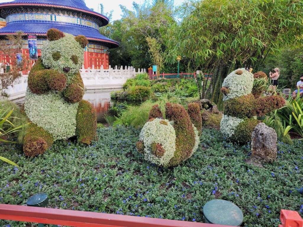Panda Topiary