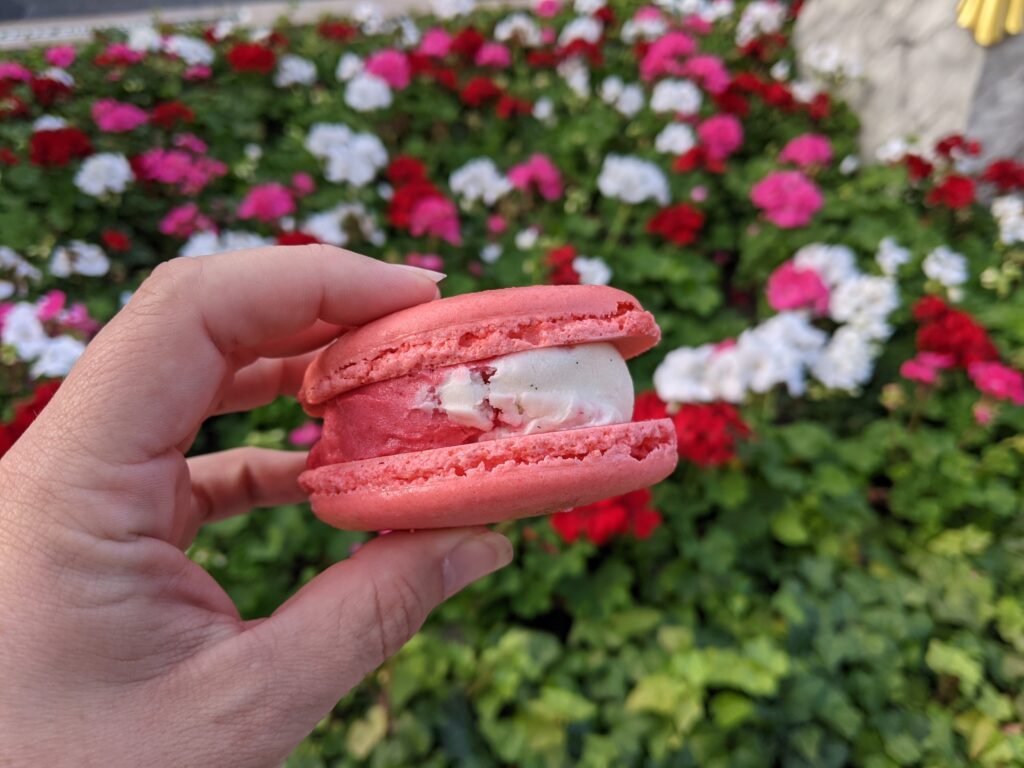 Seasonal Macaron Ice Cream Sandwich - Raspberry