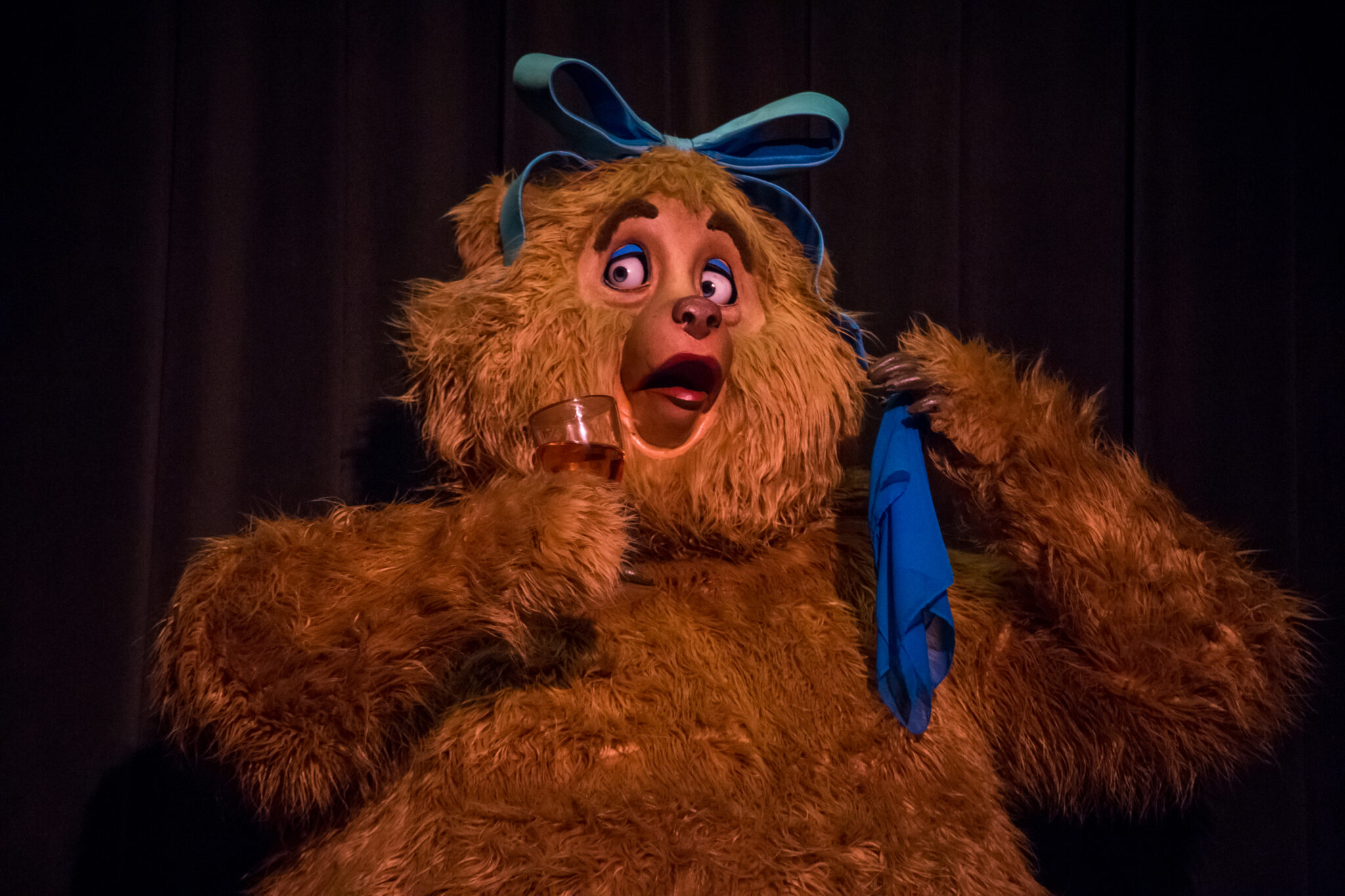 Country Bear Jamboree Overview Disney's Magic Kingdom Attractions