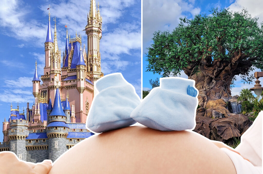 disney world magic kingdom rides pregnant