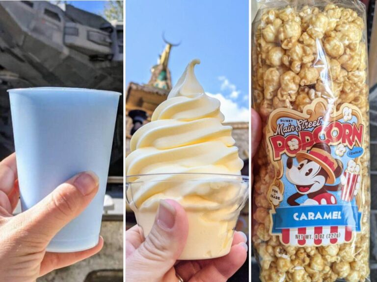 Top KosherFriendly Snacks at Disney Parks DVC Shop