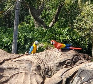 Loros en el Parque Temático Disney's Animal Kingdom