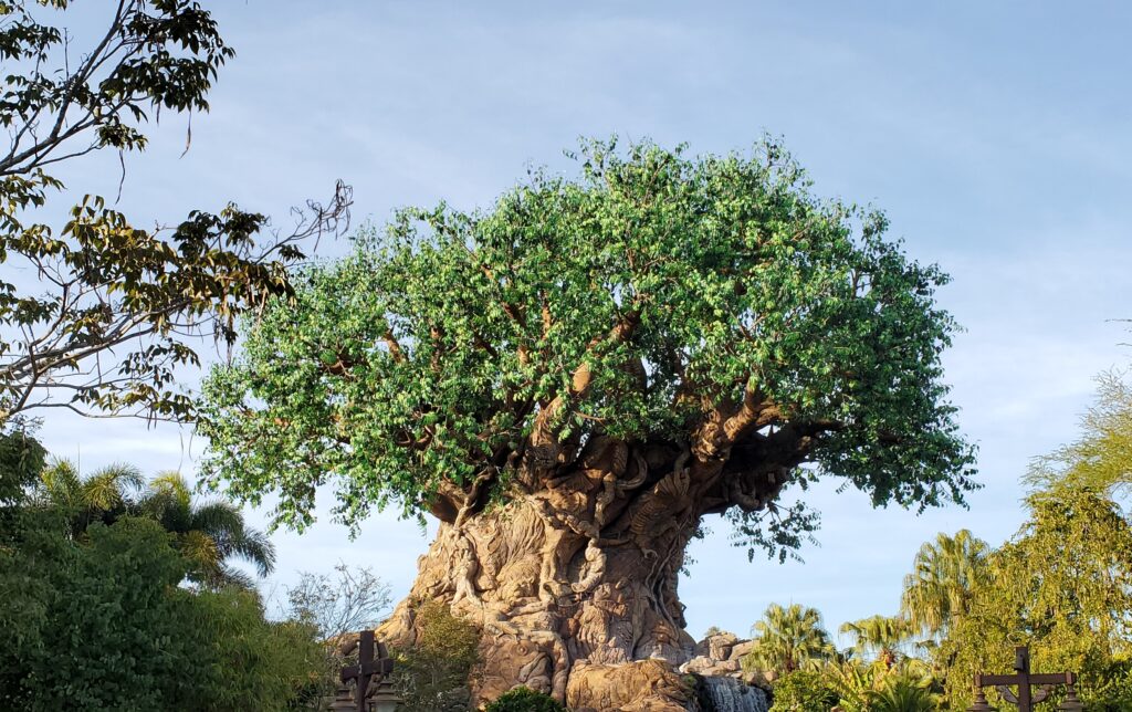 Árbol de la vida en Disney's Animal Kingdom