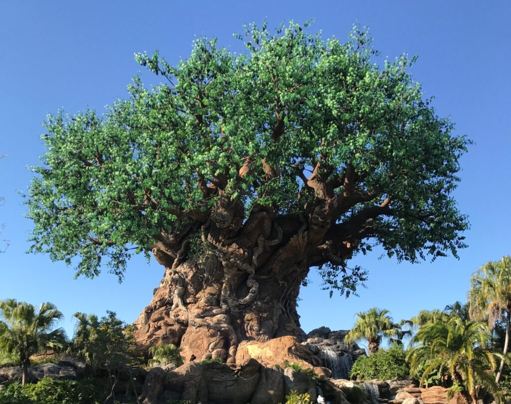 Tree of Life at Disney's Animal Kingdom