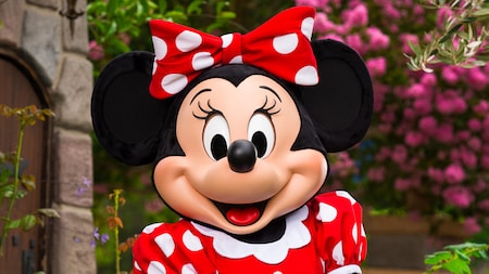 Minnie & Friends - Desayuno en el parque