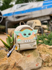 The Child in Galaxy's Edge backpack - Disney World