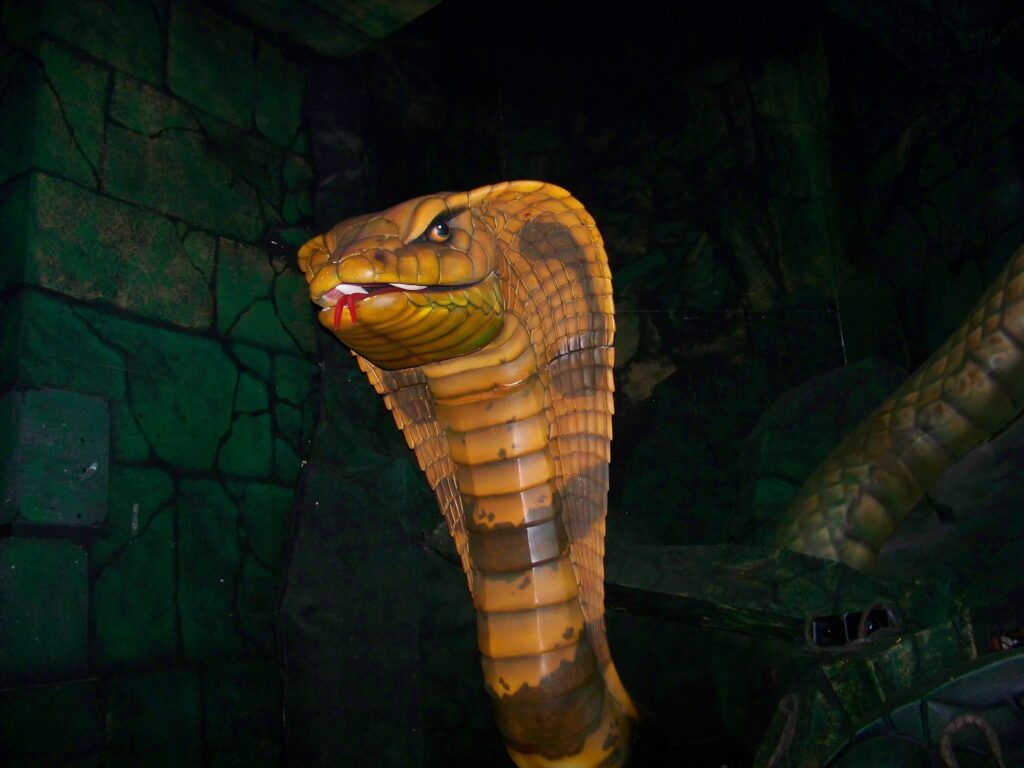 Cobra sobre Indiana Jones en Disneyland