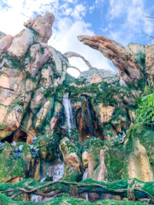 Pandora: The World of Avatar, Disney World