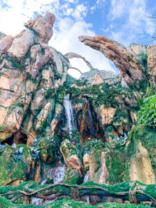 Pandora: El mundo de Avatar, Disney World