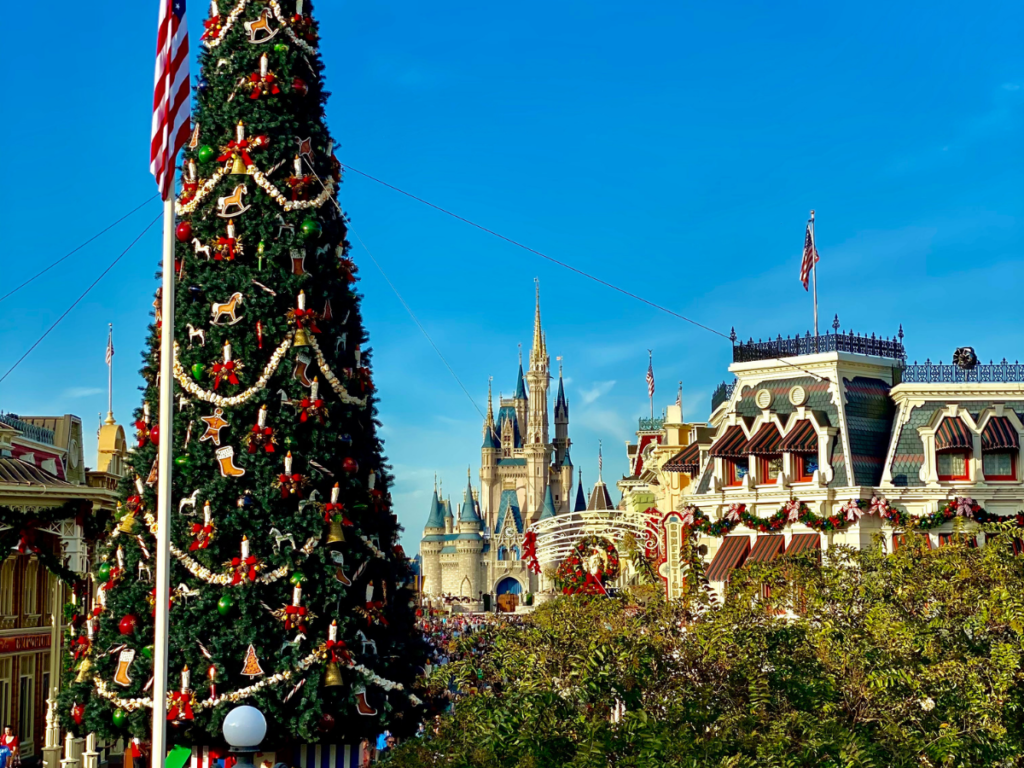 Magic Kingdom at Christmas