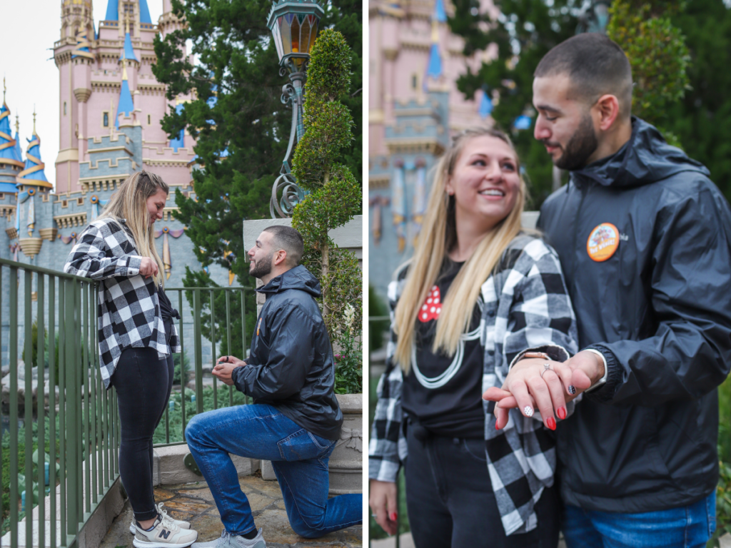 Disney World Proposal 