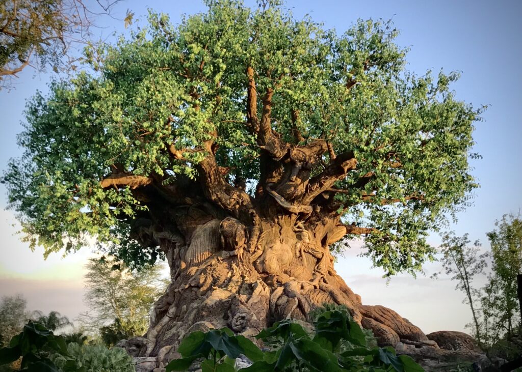 Árbol de la vida - Disney Animal Kingdom