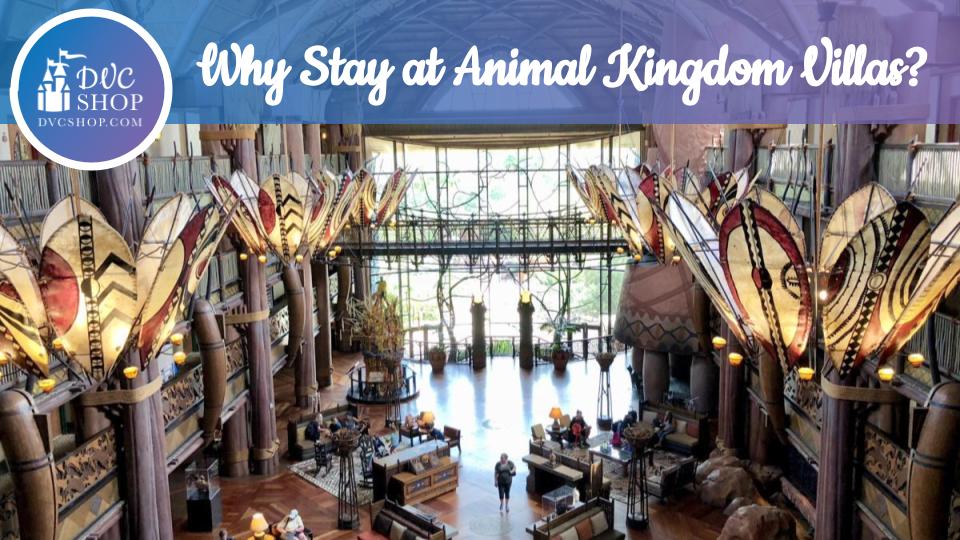 Why You Should Stay At Animal Kingdom Lodge