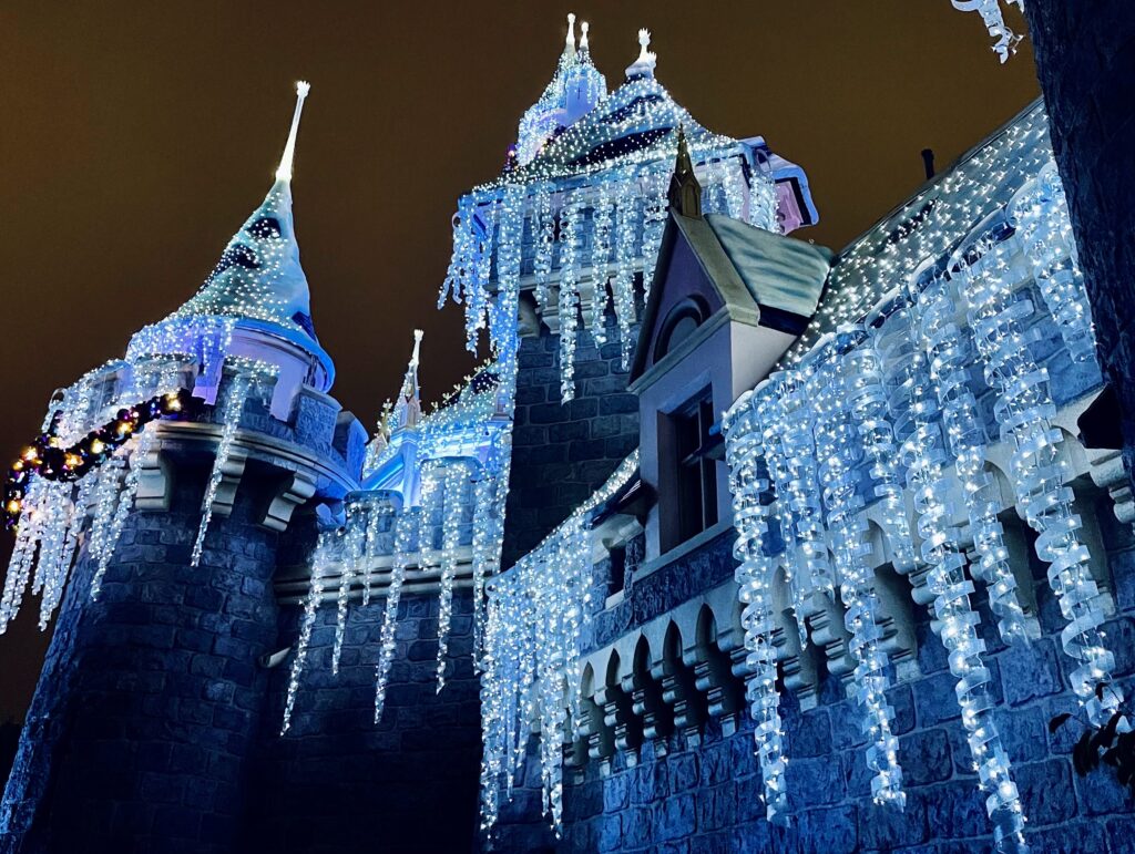 Sleeping Beauty Castle Christmas Lights