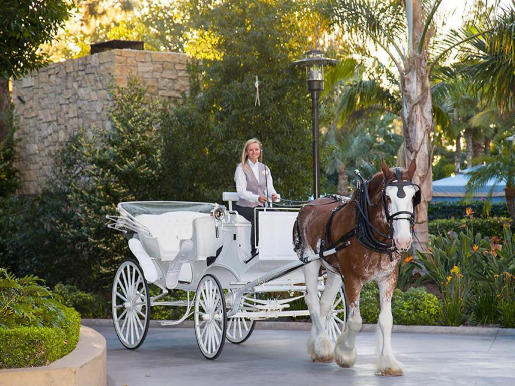 Disney Horse Drawn Carriage