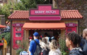 California Adventure Berry Patch Treats