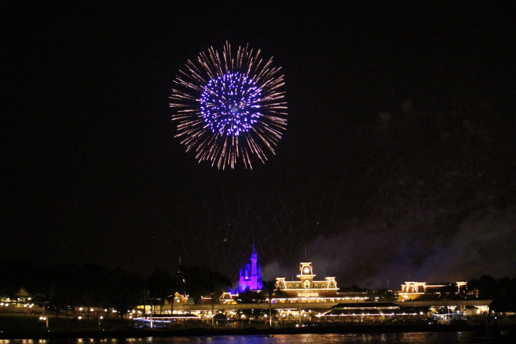 View for Disney World fireworks cruise