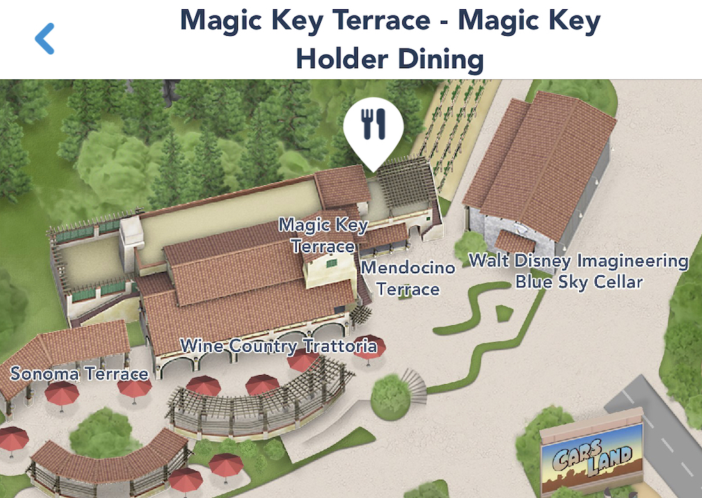 Disneyland Magic Key Terrace