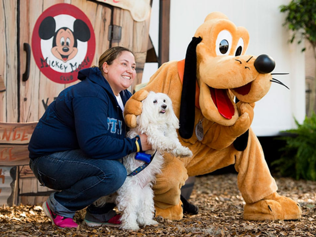 Perro de servicio en disney