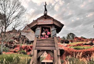 Splash Mountain Disney World