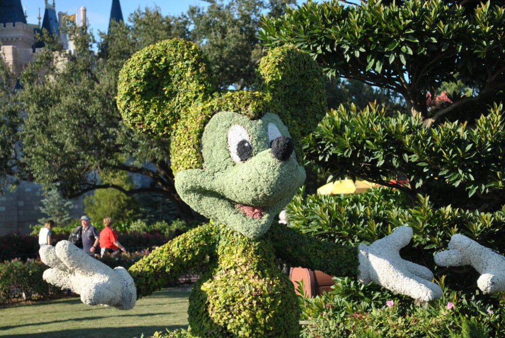 Epcot Mickey Topiary