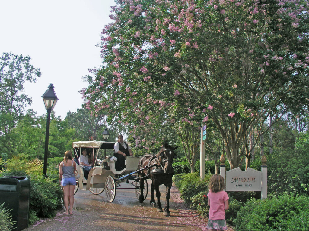 Carruaje tirado por caballos de Disney World