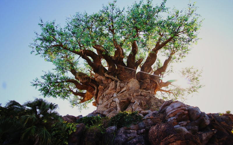 Árbol de la vida