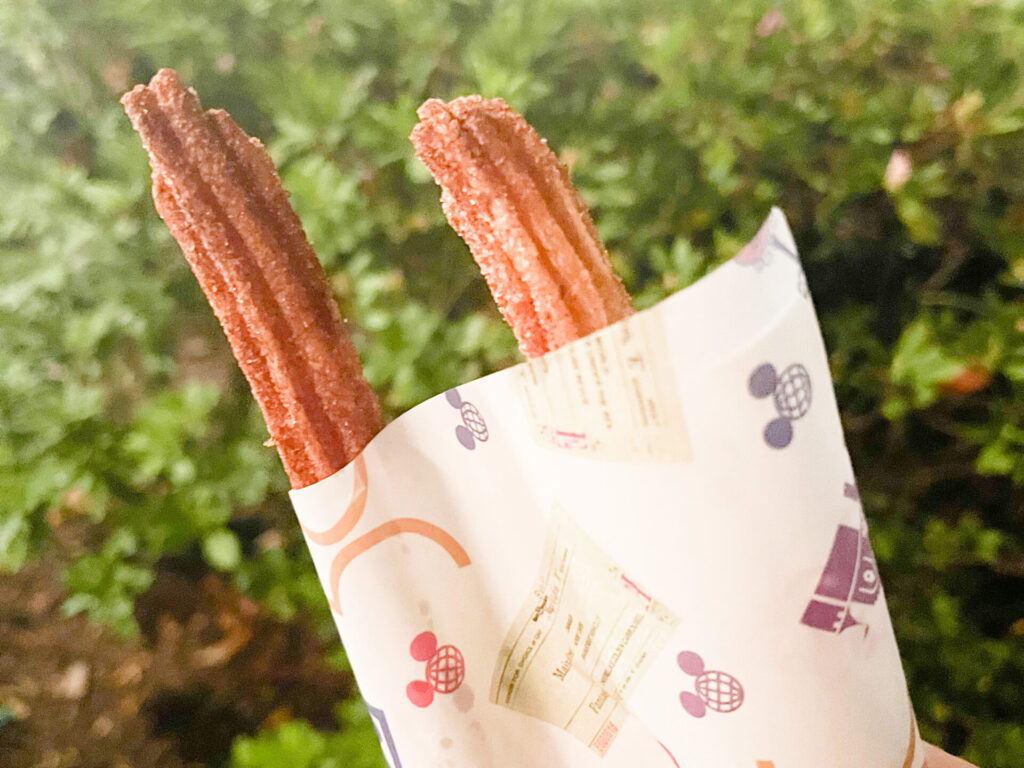 Disney World Churro