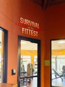 Animal Kingdom Lodge Kidani Village Fitness Center