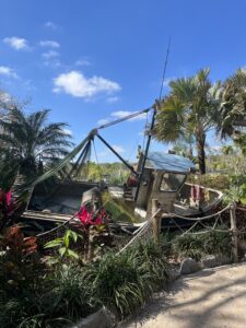 Disney Typhoon Lagoon 