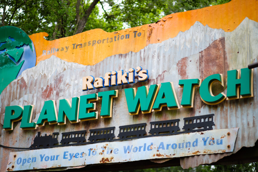 Reloj El planeta de Rafiki de Disney