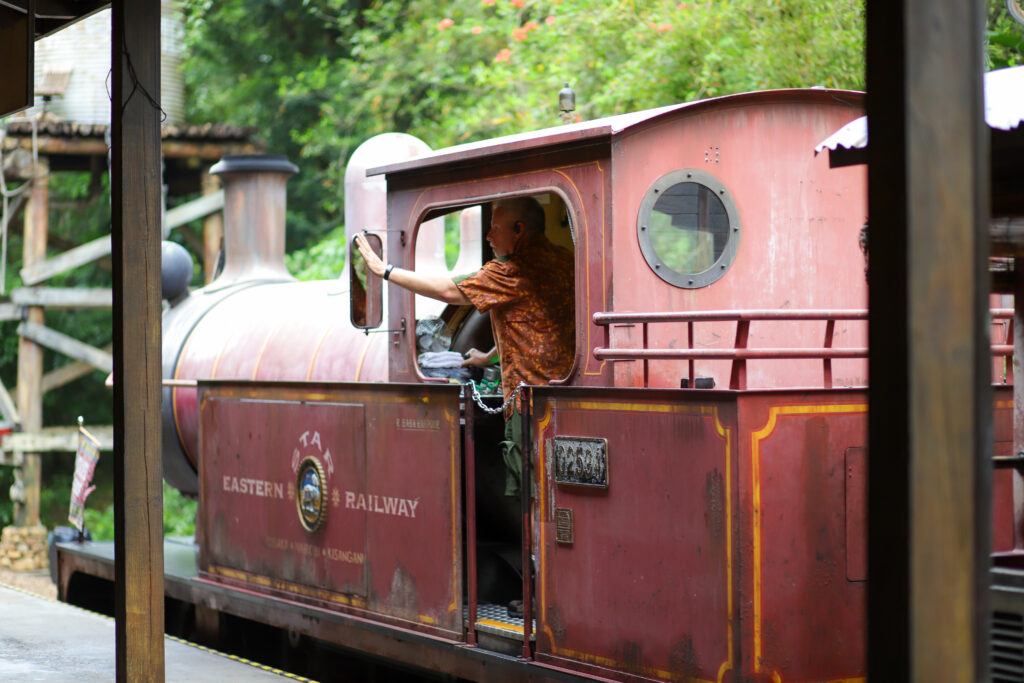 Animal kingdom wildlife sales express train