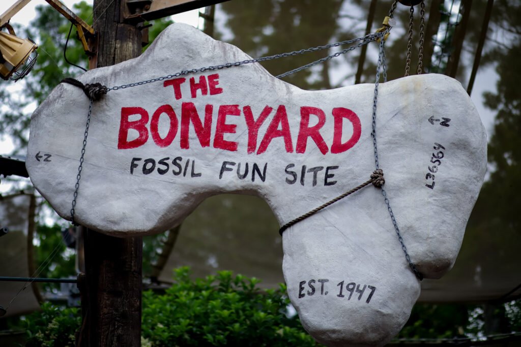 Animal Kingdom Boneyard