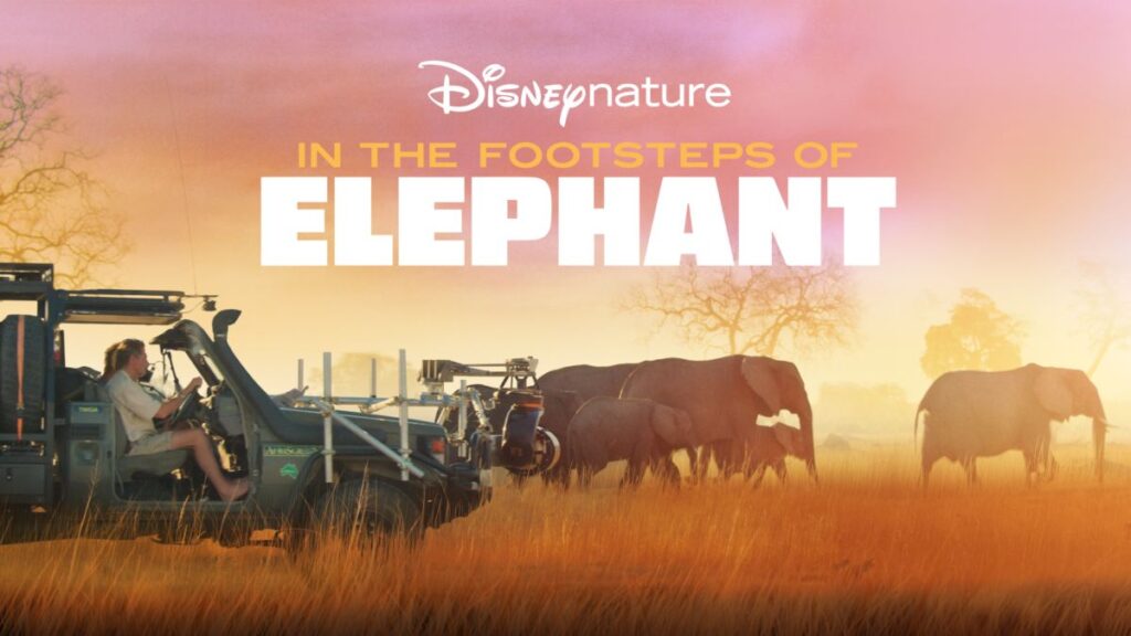 Disney plus In the Footsteps of Elephants 