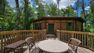 Saratoga Springs Treehouse Villa