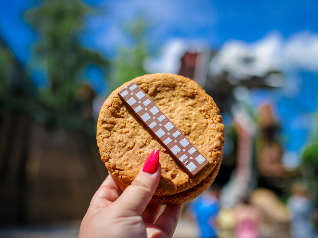 Disney Hollywood Studios Wookiee Cookie