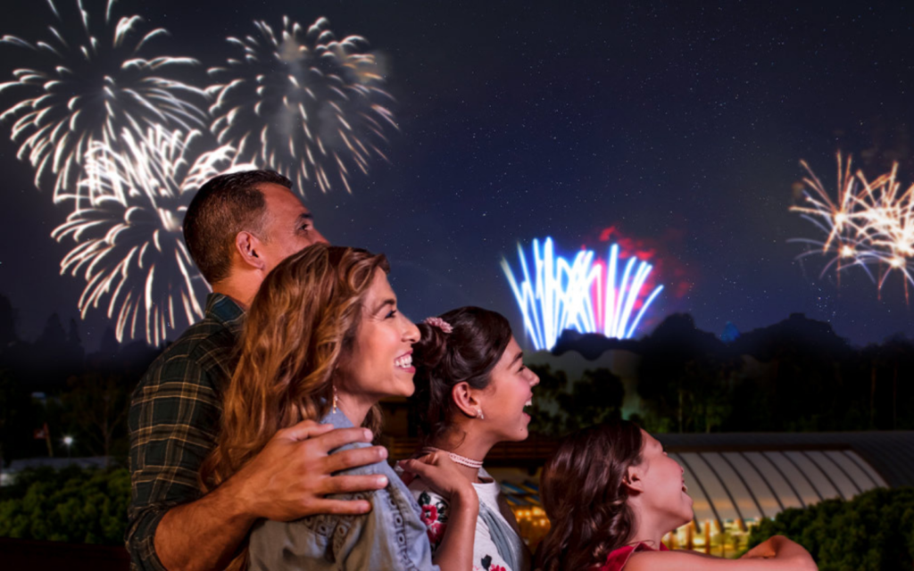 Family watching Disney Fireworks