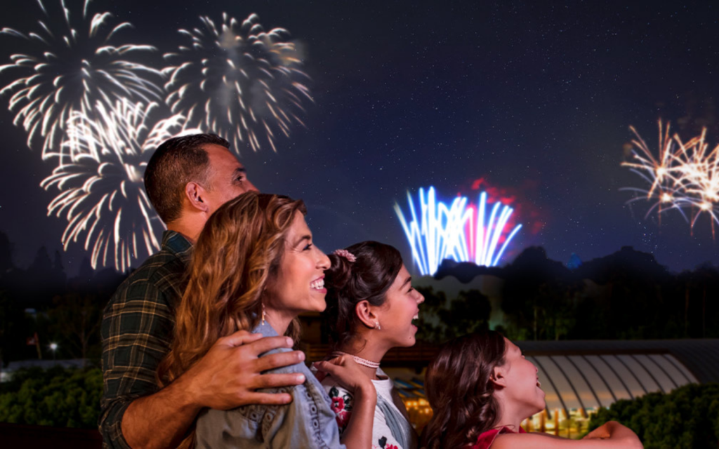 Familia viendo los fuegos artificiales de Disney