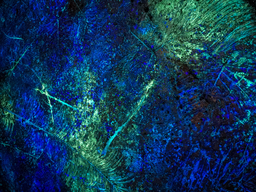Pandora World of Avatar Bioluminescence 