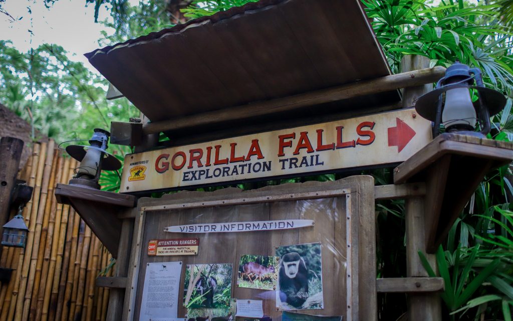 Gorilla Falls Disney's Animal Kingdom
