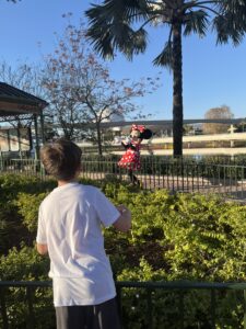 Minnie Mouse Meet and Greet