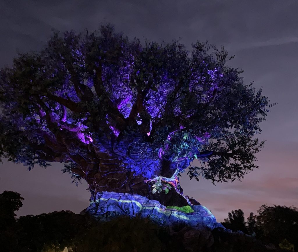 Árbol de la vida de Disney de noche