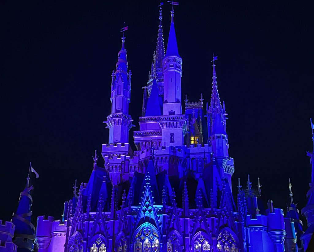 The view of Cinderella Castle at night 